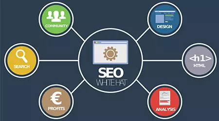 Servicio de Posicionamiento SEO